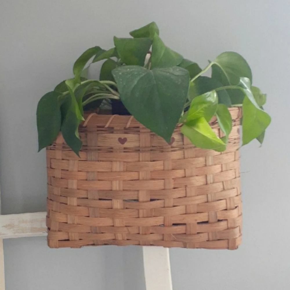 Wall basket